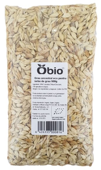 Grau ancestral pentru iarba de grau eco 500g OBIO